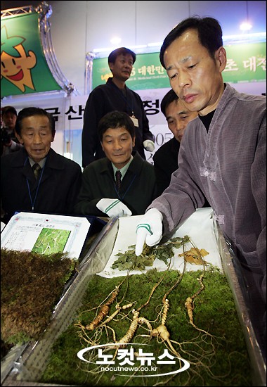 산삼약초전시장 이미지