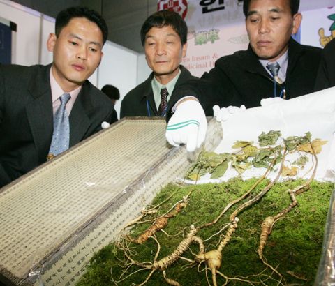 산삼약초전시장 이미지