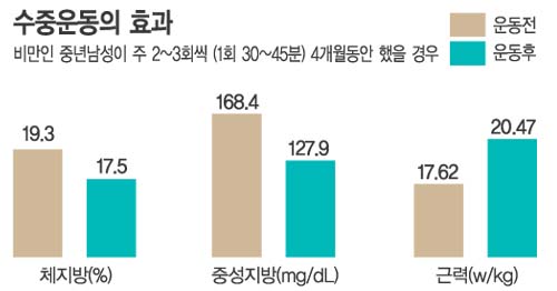 인스포츠 이미지