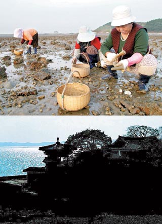 뚝딱트래블 이미지