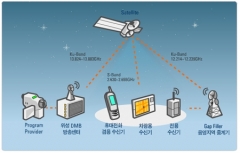 디엠비알 이미지