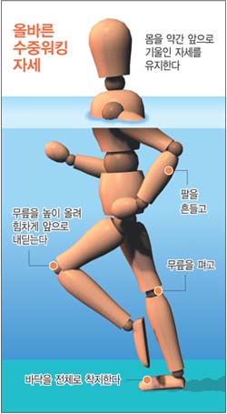 인스포츠 이미지