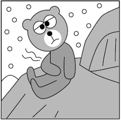 겨울잠 이미지