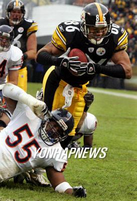 스타필드NFL 이미지