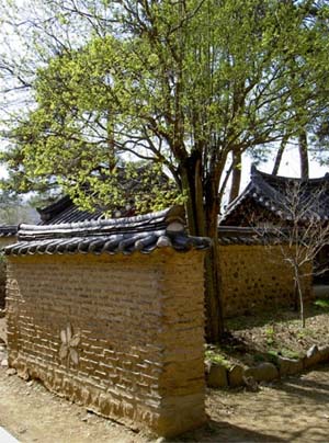 토담꽃담 이미지