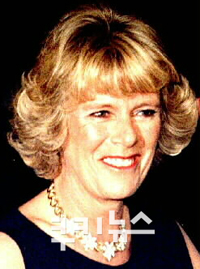사치 이미지