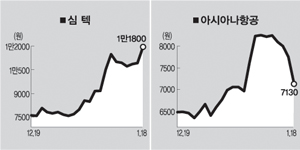 (주)심텍 이미지