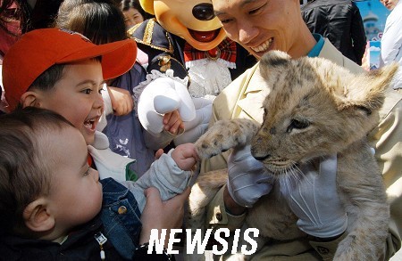 오로라에버 이미지