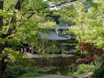 청정바람 이미지
