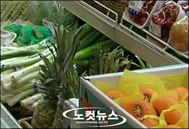 토마토야채과일 이미지
