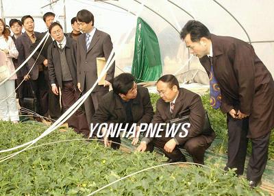 새마을여행사 이미지