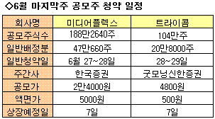 (주)미디어플렉스 이미지