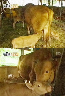 속초복권 이미지