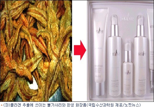 해적수산 이미지