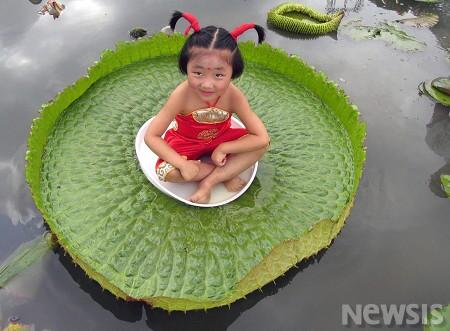 엄지공주 이미지