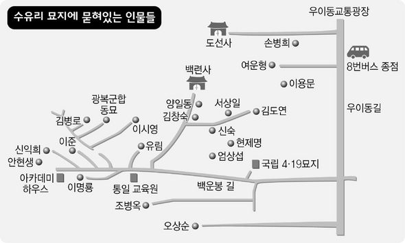 거목 이미지