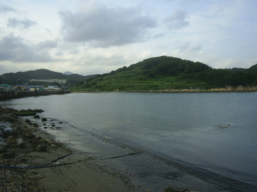 고산온 이미지