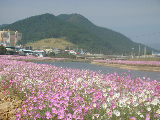 ３.６.３숯불구이 이미지