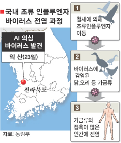 진성축산 이미지