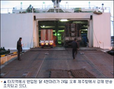 타닭 이미지
