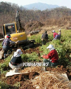제천황기연합 이미지