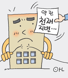 LG강진 이미지