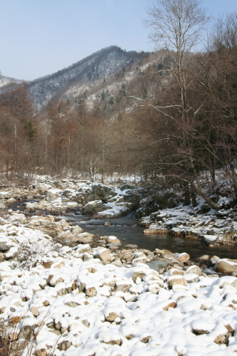 오대산 이미지