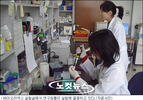 러넥스 이미지