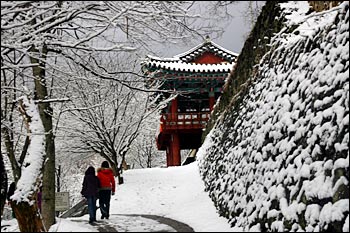 고요 이미지