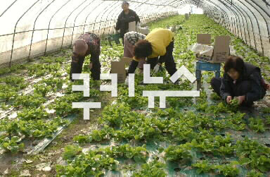 한국농약마트 이미지