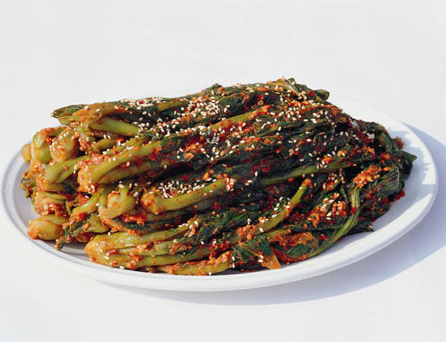 다음중 라면과 먹을수 있는 김치 한가지만 고른다면 | 인스티즈