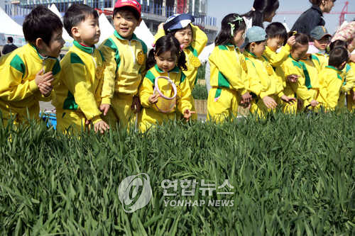 토마토노래광장 이미지