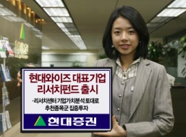 와이즈리서치 이미지