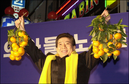 제주오렌지 이미지