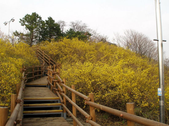 이사빛 이미지