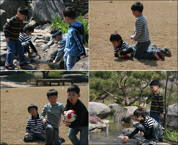 수목원수선 이미지