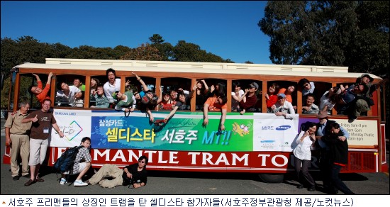 디스타일 이미지