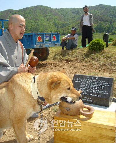 주인 이미지