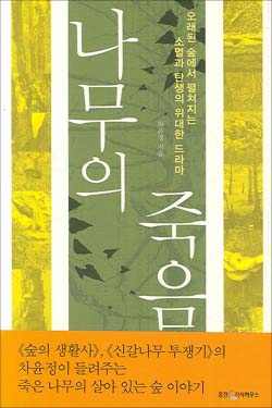 고사목 이미지