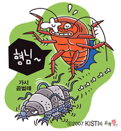 귀재 이미지