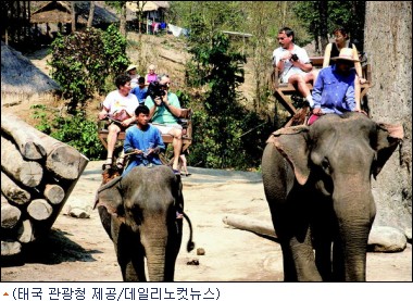 여행친구 이미지