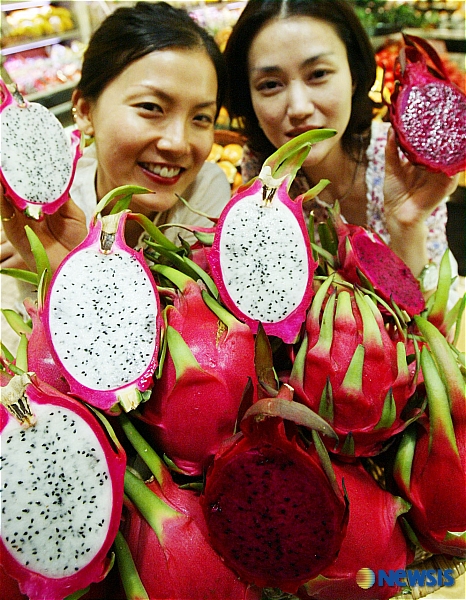 용과 서울 이미지