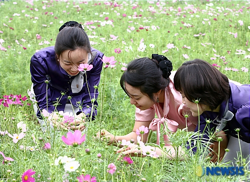 망울 이미지