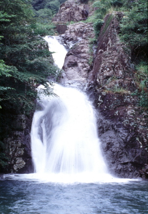 수림환경(주) 이미지