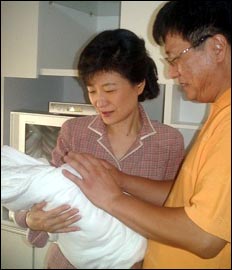 새빛법률사무소 이미지