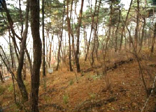 남산환경 이미지