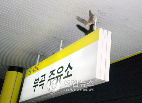 매일주유소 이미지