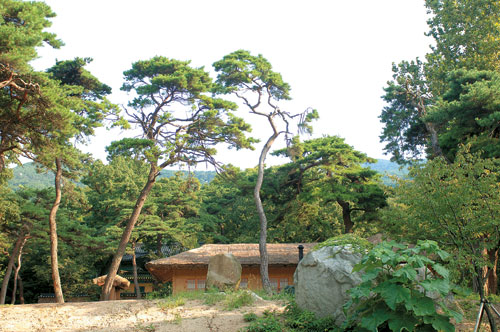 수덕 이미지