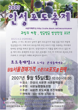 안성서운포도 이미지