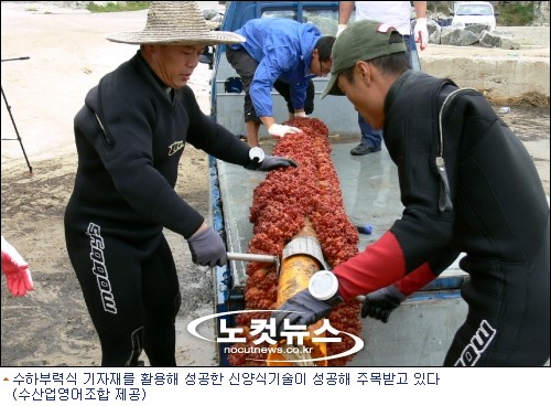 수하 이미지